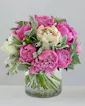 15 Peonies in Cylinder Vase