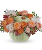 Whimsy Pumpkin Bouquet - Premium